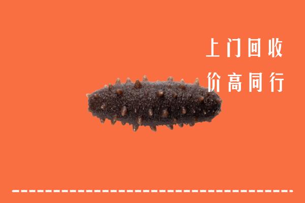 驻马店市上蔡回收海参