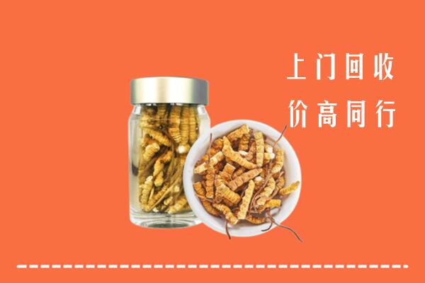 驻马店市上蔡回收冬虫夏草